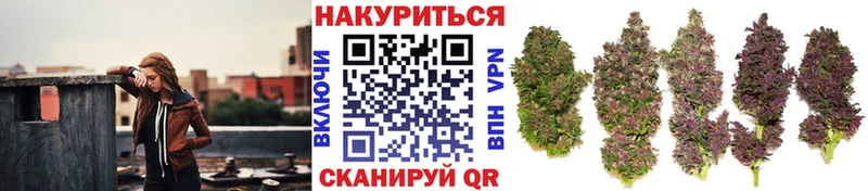 Купить  Мосальск  Бошки Шишки Bruce Banner 